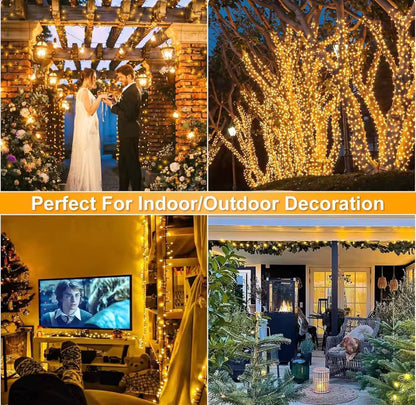 Guirnalda Luces LED 100M para Exterior 100–800 LEDs | Navidad y Fiestas